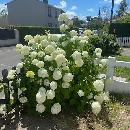 بيت للعطل Charmante Maison A L'entree Du Touquet-cucq *