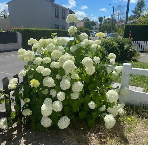 Hébergement de vacances Charmante Maison à L’entrée Du Touquet-cucq *